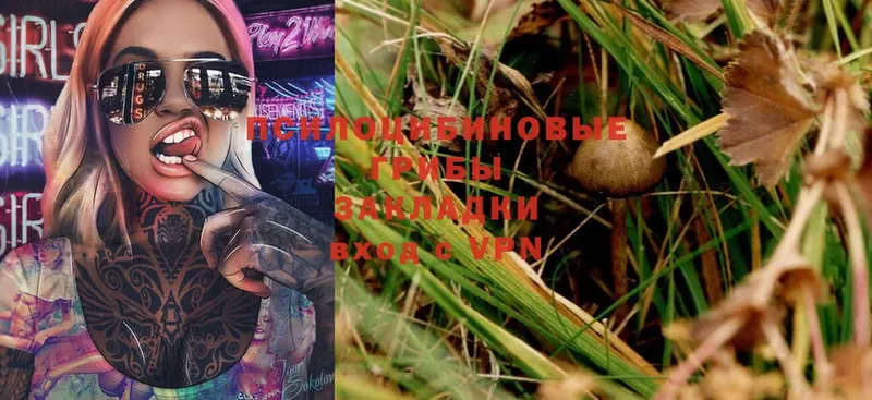 Псилоцибиновые грибы Magic Shrooms  гидра зеркало  Старая Русса 